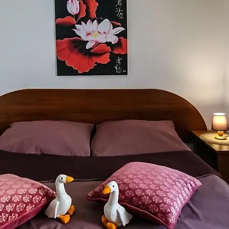 Christo Dom Z Dusza Kołobrzeg