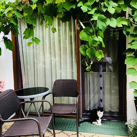 Privatunterkunft Christo Dom Z Dusza Kolberg