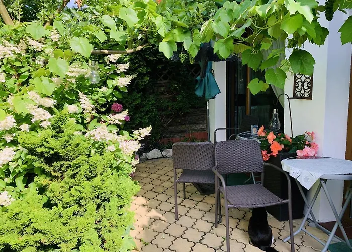 Christo Dom Z Dusza *